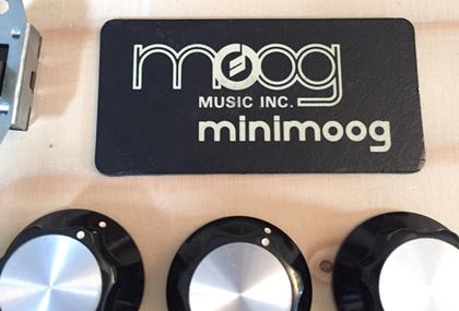 Moog-Rare switches badge, new Mini knobs